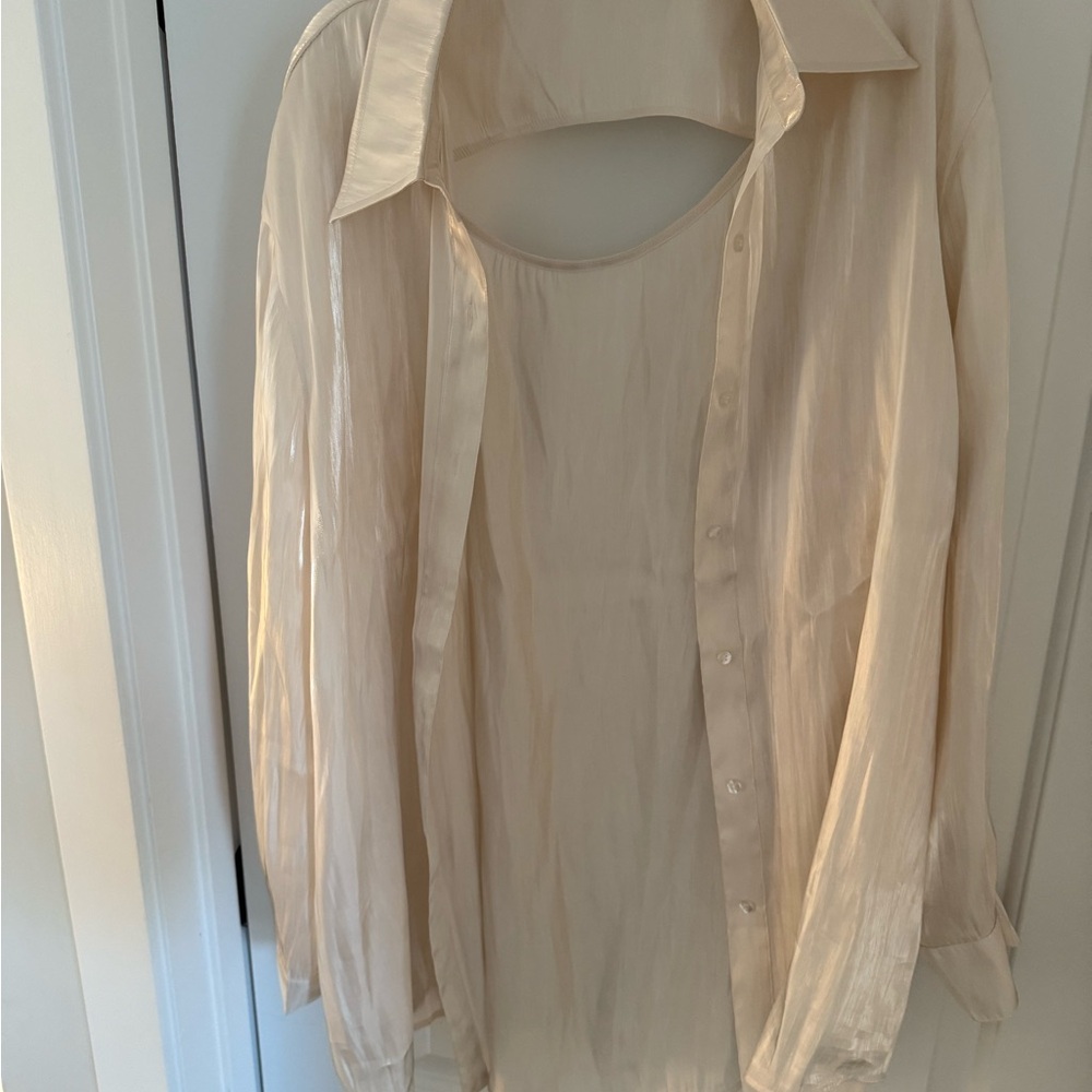 Champagne Silk Shimmer Button Down